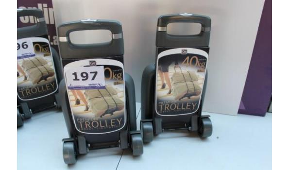 2 trolleys